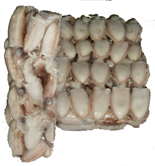 Almendrita bloque