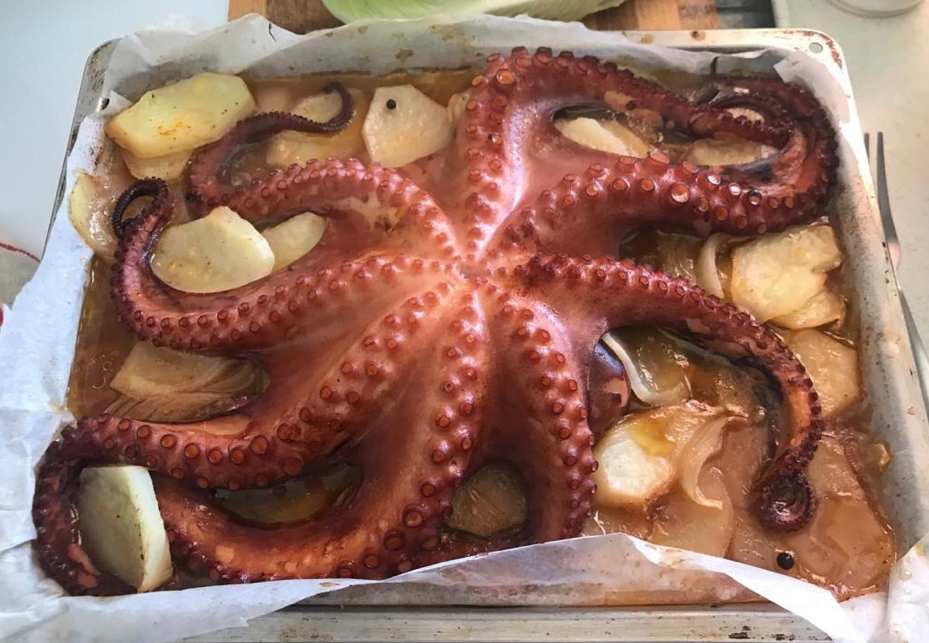 Pulpo - Imagen 2