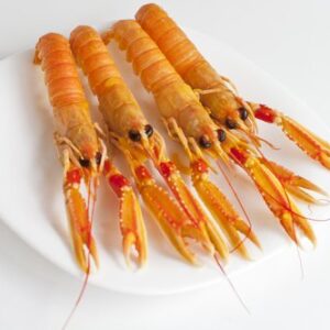 Cigalas
