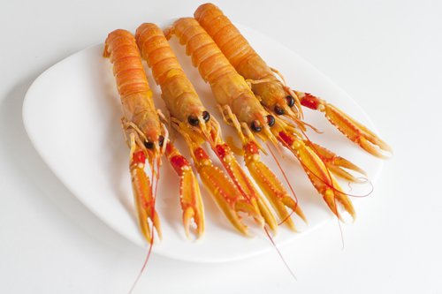 Cigalas